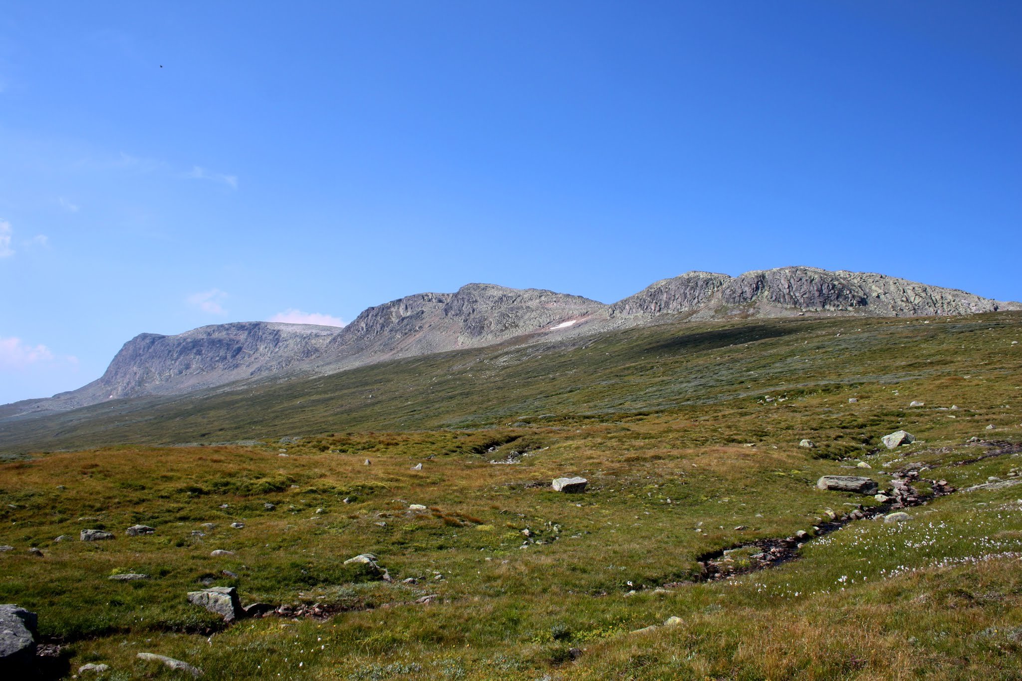 Hallingskarvet nasjonalpark